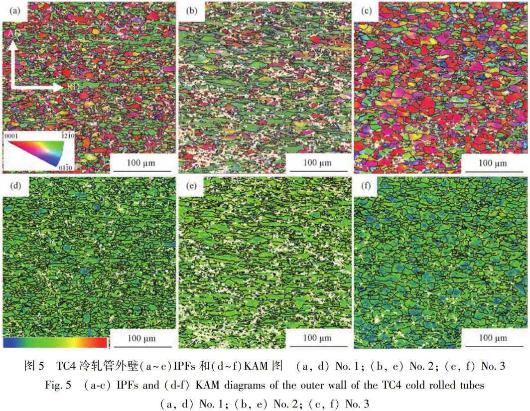 750~850℃梯度退火處理對多道次冷軋TC4無縫管再結晶占比、晶粒分布及拉伸斷裂行為的影響規律研究