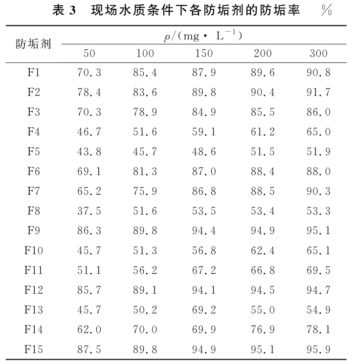 b3.jpg