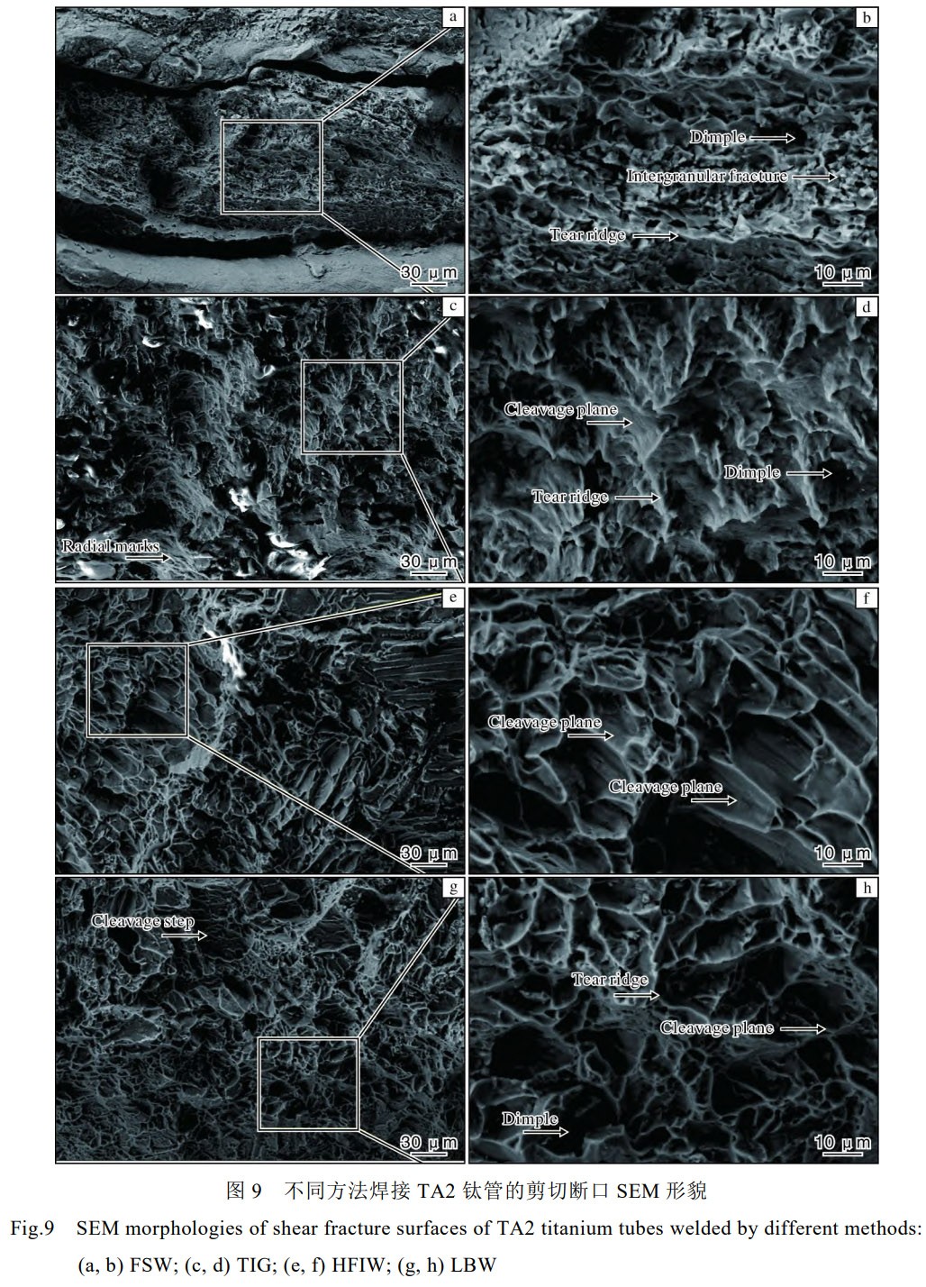 1779324972584590.jpg 9.jpg
